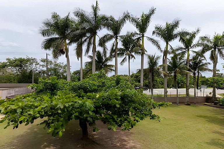 Casa Frente Mar com Jardim Amplo e Churrasqueira